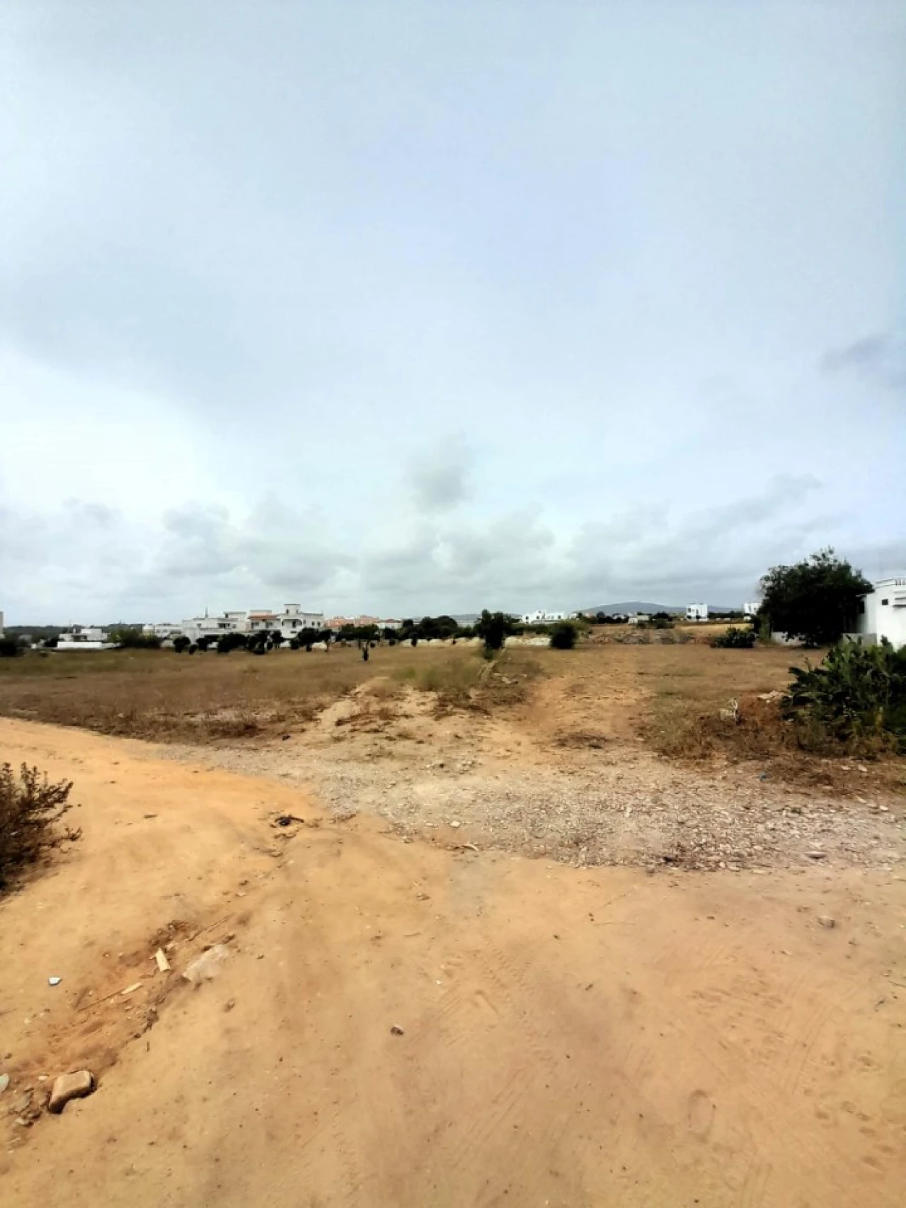 Terreno para Venda em Quelfes Foto 10