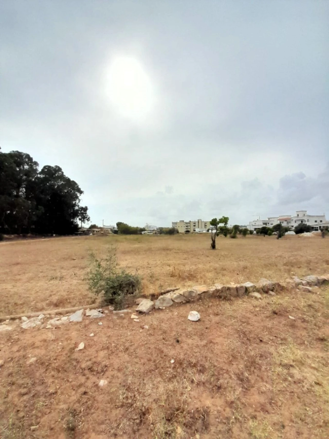 Terreno para Venda em Quelfes Foto 12