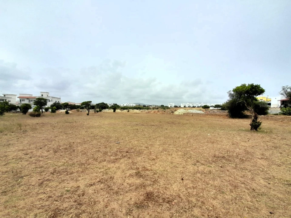 Terreno para Venda em Quelfes Foto 19