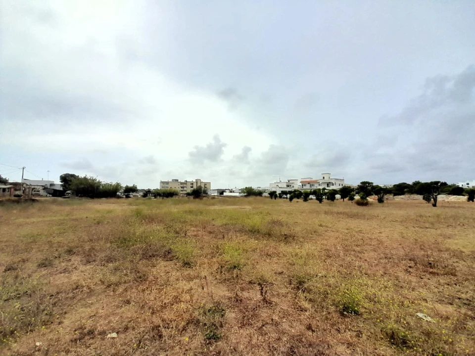 Terreno para Venda em Quelfes Foto 24