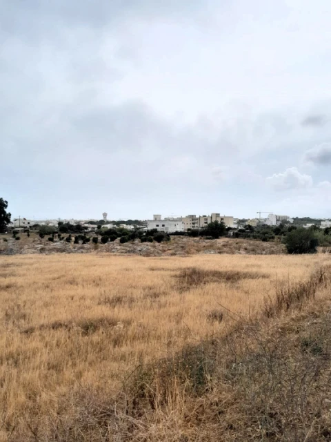 Terreno para Venda em Quelfes