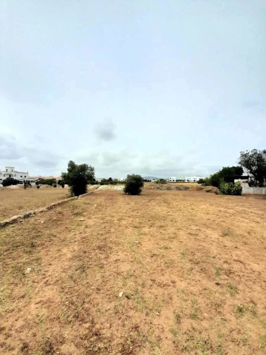 Terreno para Venda em Quelfes Foto 11