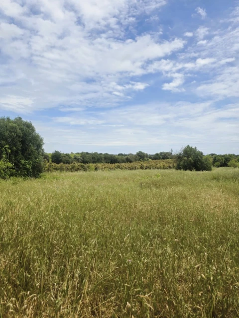 Moradia T4 para Venda em Tavira (Santa Maria e Santiago)