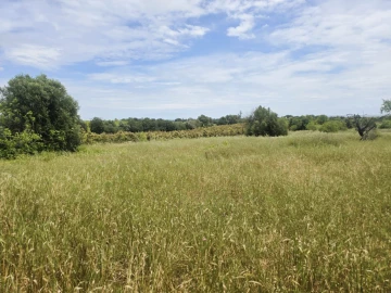 Moradia T4 para Venda em Tavira (Santa Maria e Santiago)