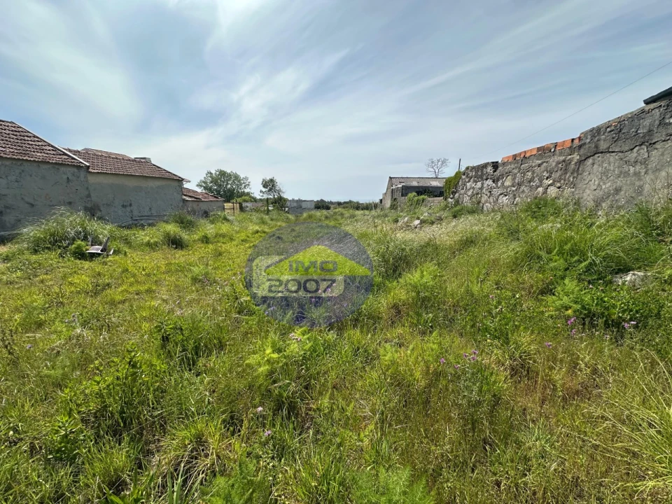 Terreno para Venda em Madalena Foto 8