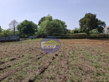 Terreno para Venda em Argoncilhe