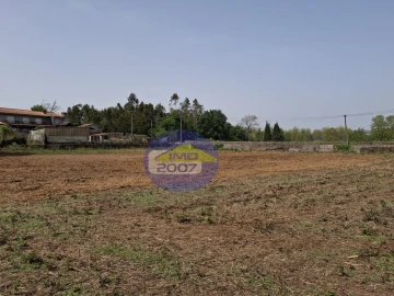 Terreno para Venda em Argoncilhe