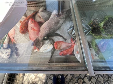Apartamento T2 para Venda em Sesimbra (Santiago)