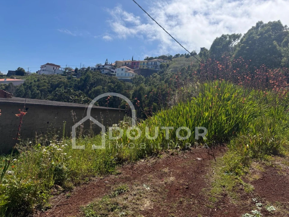 Terreno para Venda em Gaula Foto 11