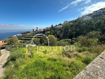 Terreno para Venda em Gaula