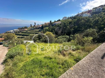 Terreno para Venda em Gaula