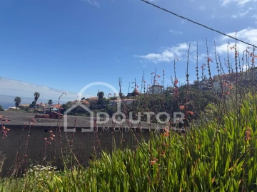 Terreno para Venda em Gaula
