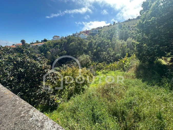 Terreno para Venda em Gaula Foto 3