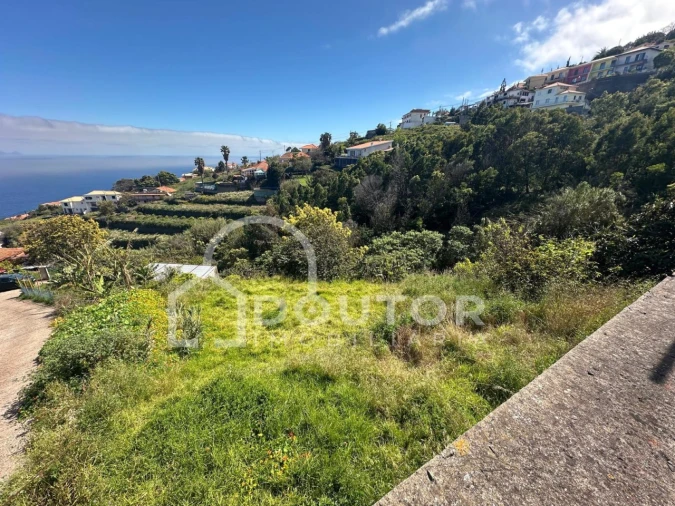 Terreno para Venda em Gaula Foto 2