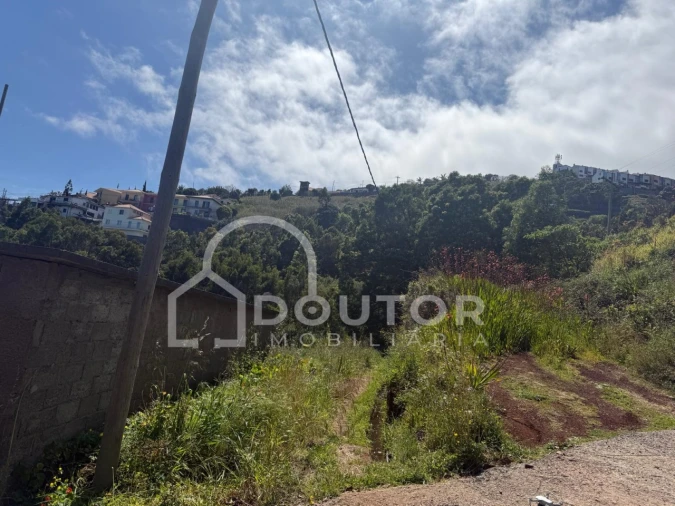 Terreno para Venda em Gaula Foto 9