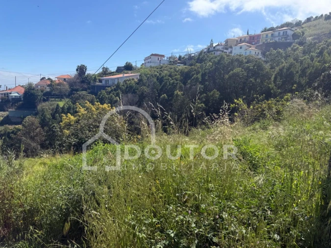 Terreno para Venda em Gaula Foto 12