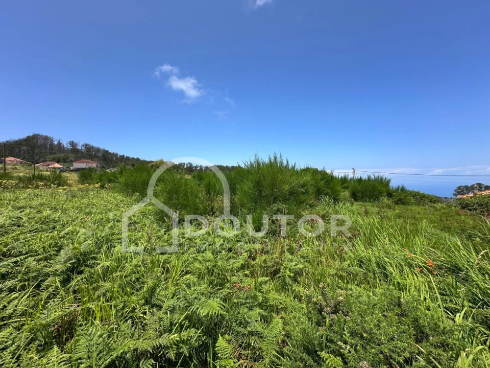 Terreno para Venda em Porto Moniz Foto 18