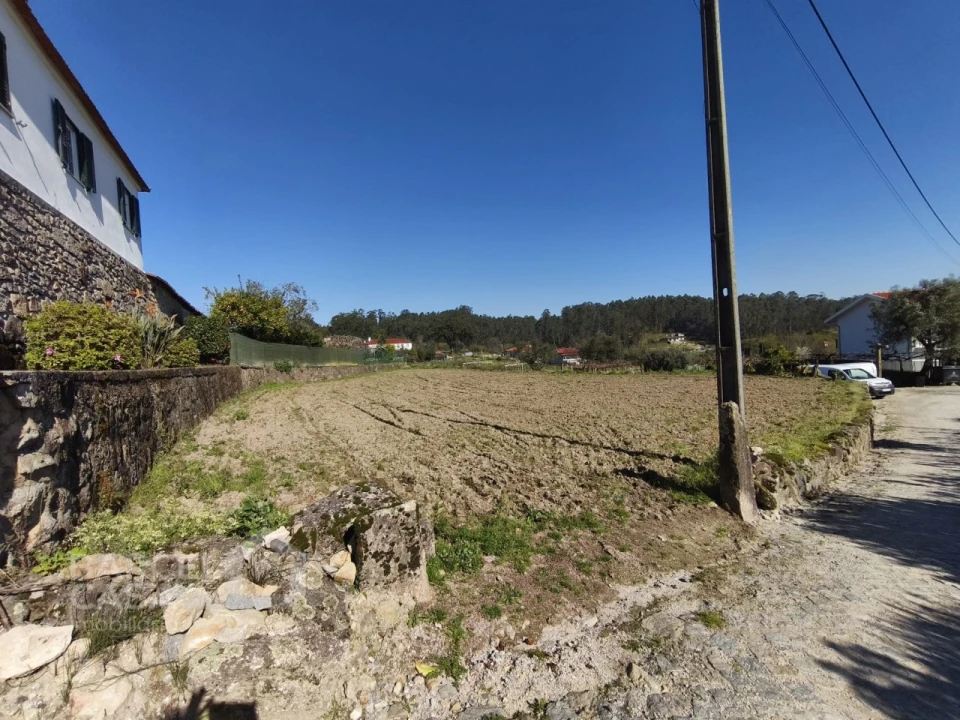 Terreno para Venda em Alvito (São Pedro e São Martinho) e Couto Foto 2