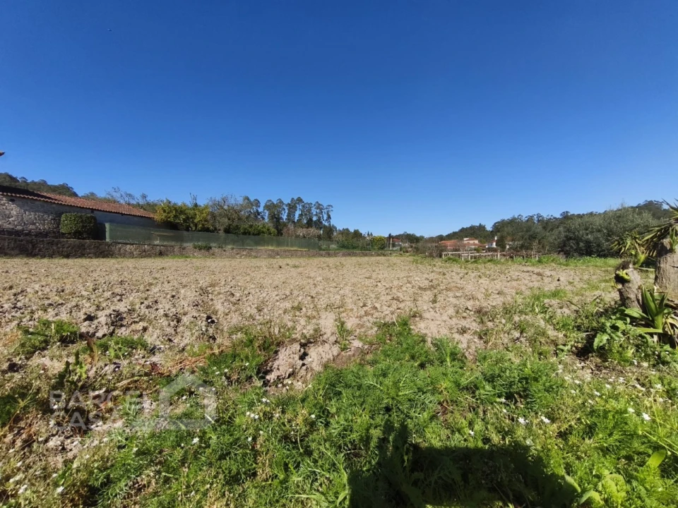 Terreno para Venda em Alvito (São Pedro e São Martinho) e Couto Foto 4