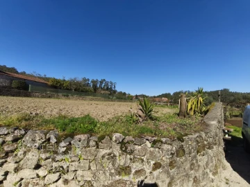 Terreno para Venda em Alvito (São Pedro e São Martinho) e Couto
