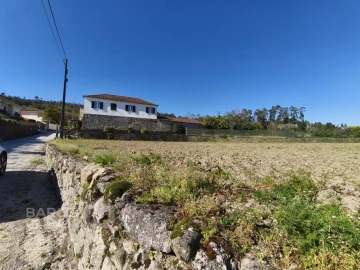 Terreno para Venda em Alvito (São Pedro e São Martinho) e Couto