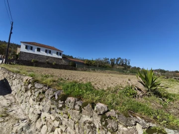 Terreno para Venda em Alvito (São Pedro e São Martinho) e Couto