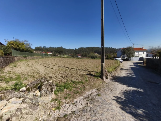 Terreno para Venda em Alvito (São Pedro e São Martinho) e Couto