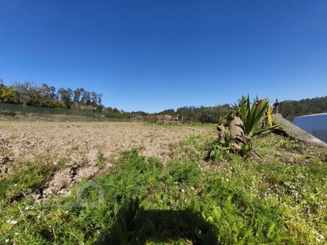 Terreno para Venda em Alvito (São Pedro e São Martinho) e Couto Foto 3