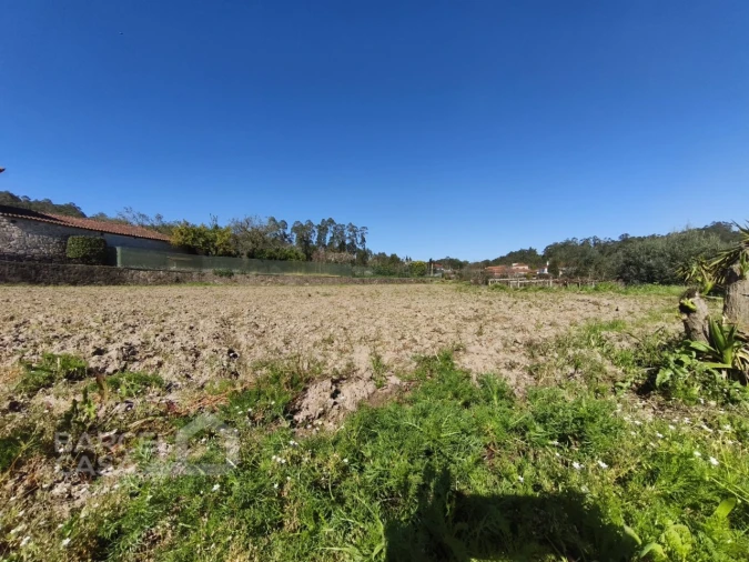 Terreno para Venda em Alvito (São Pedro e São Martinho) e Couto Foto 4