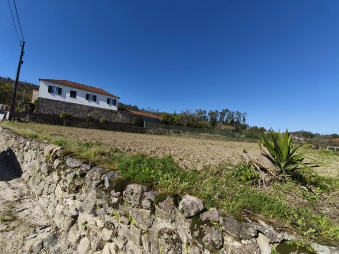 Terreno para Venda em Alvito (São Pedro e São Martinho) e Couto Foto 7