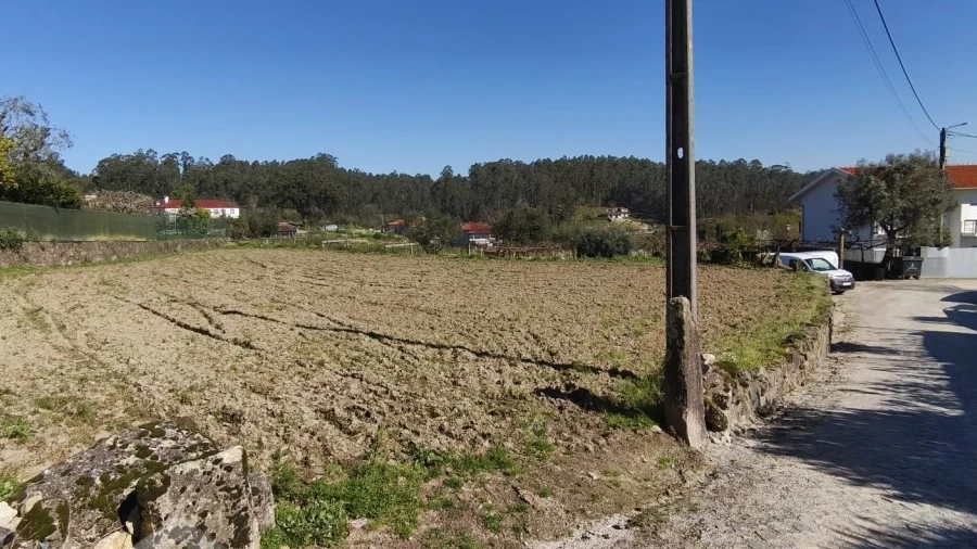 Terreno para Venda em Alvito (São Pedro e São Martinho) e Couto