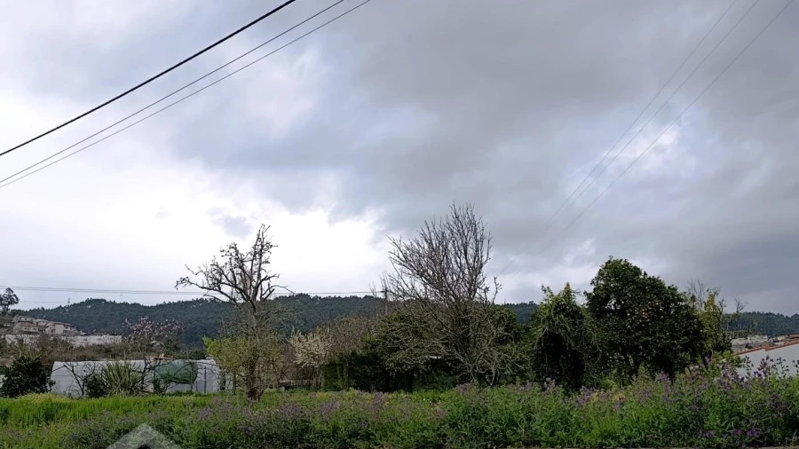 Terreno para Venda em Carapeços