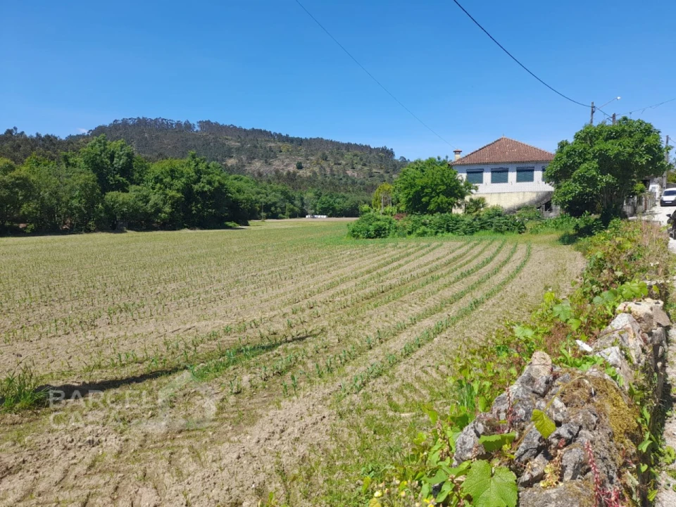 Terreno para Venda em Panque Foto 1