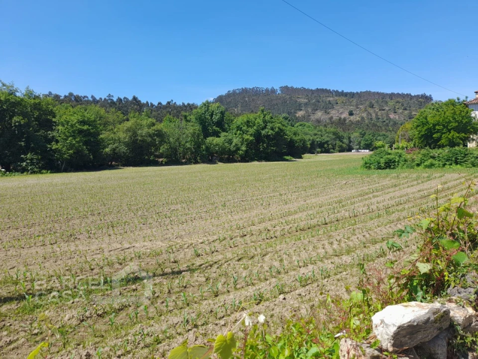 Terreno para Venda em Panque Foto 2