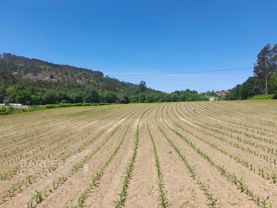 Terreno para Venda em Panque Foto 4