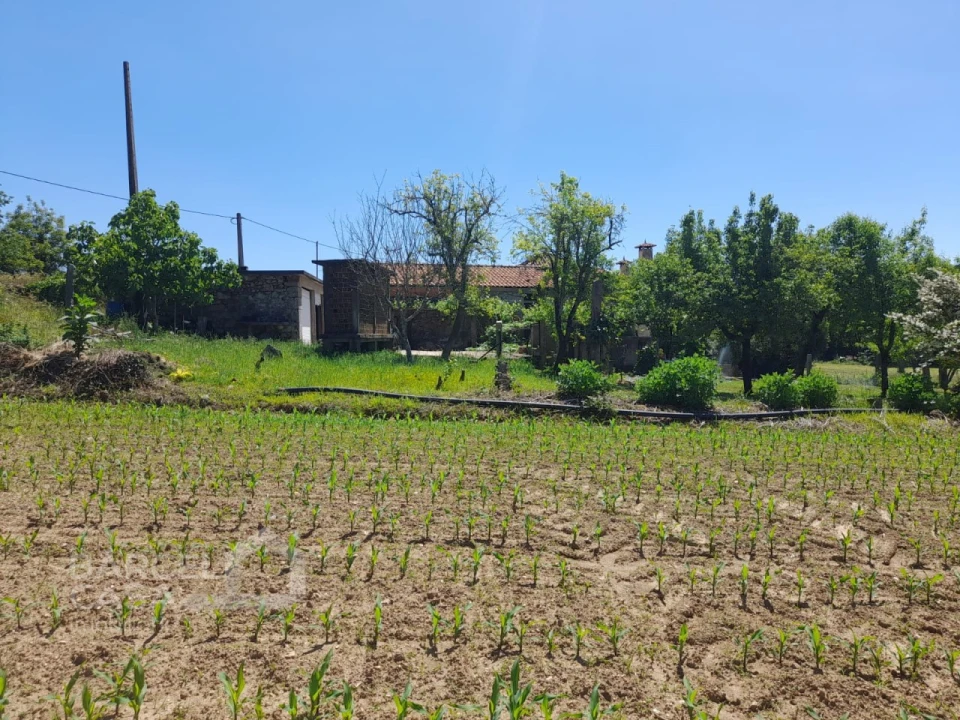 Terreno para Venda em Panque Foto 9