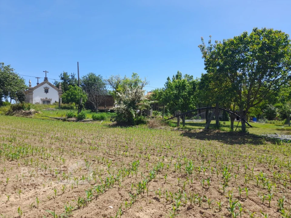 Terreno para Venda em Panque Foto 10