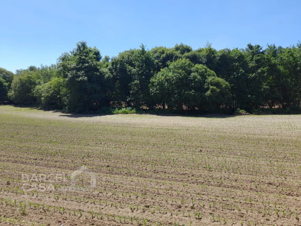 Terreno para Venda em Panque Foto 7