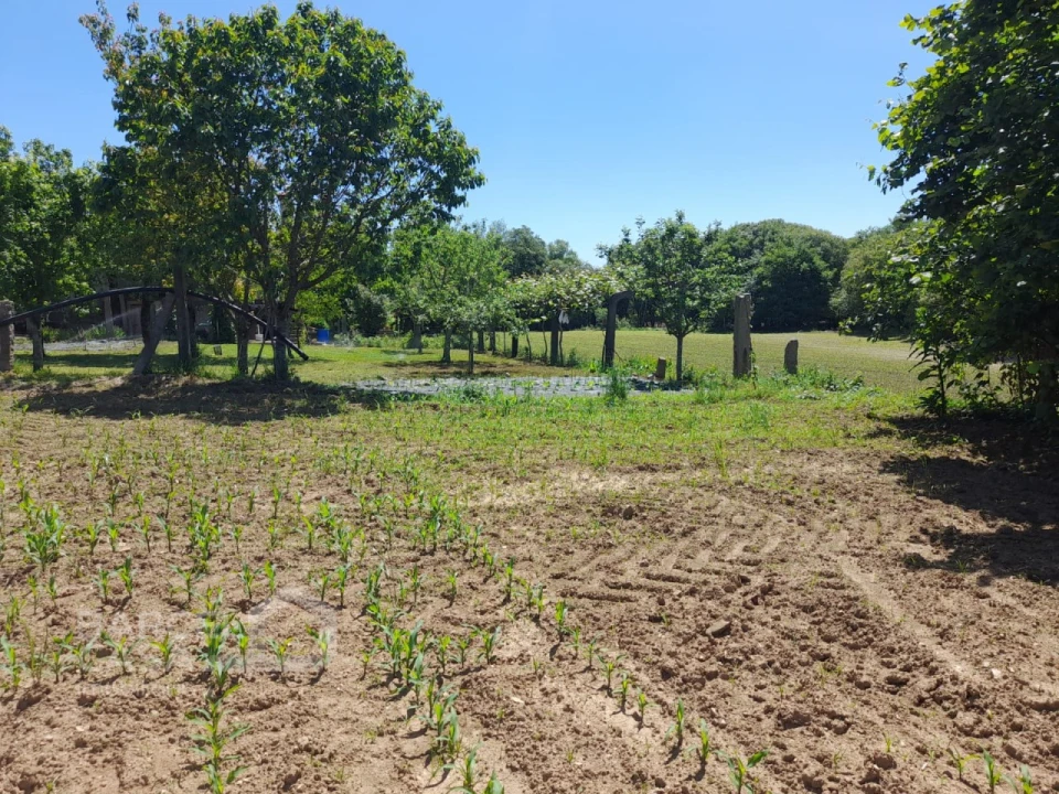 Terreno para Venda em Panque Foto 8