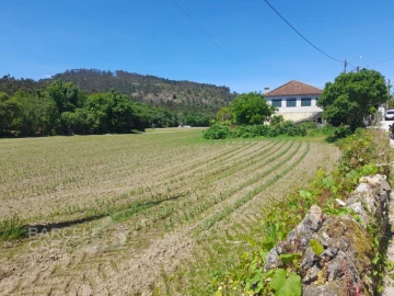 Terreno para Venda em Panque