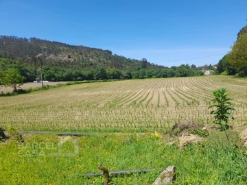 Terreno para Venda em Panque