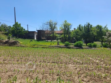 Terreno para Venda em Panque
