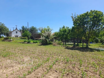 Terreno para Venda em Panque