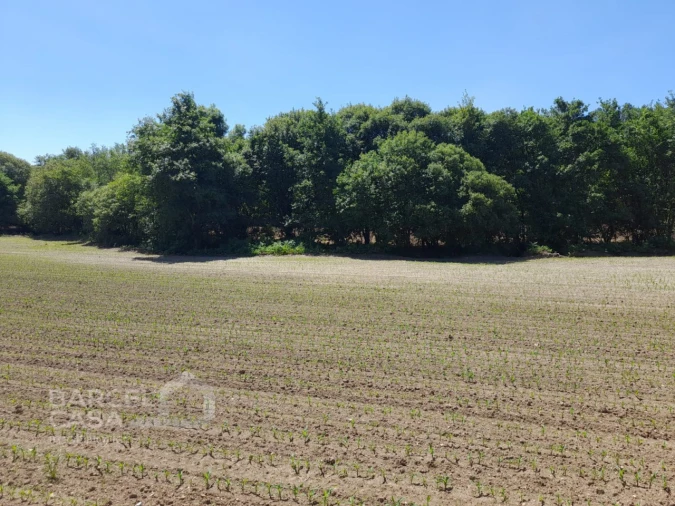 Terreno para Venda em Panque Foto 7