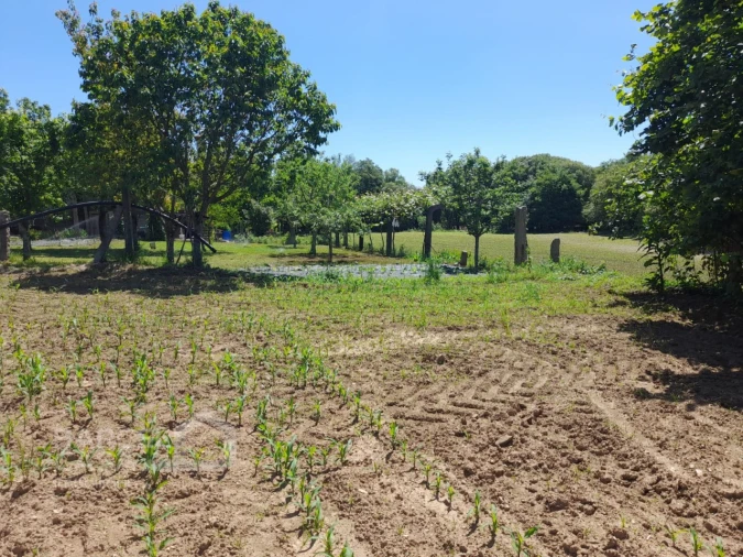 Terreno para Venda em Panque Foto 8