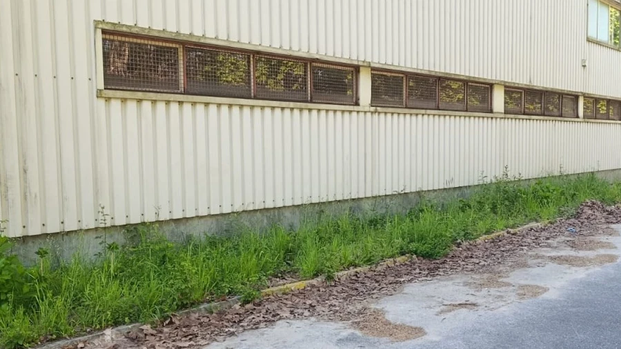 Armazém para Arrendamento em Galegos (Santa Maria)