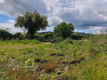 Terreno para Venda em Cossourado