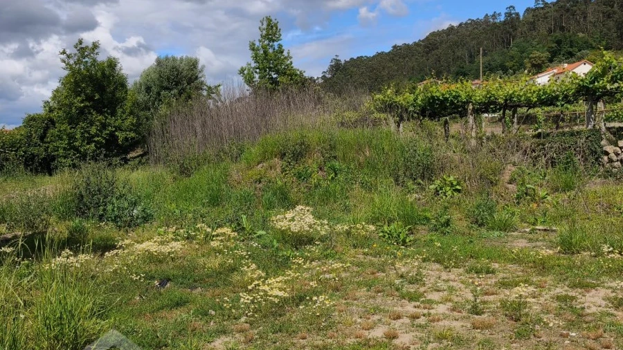 Terreno para Venda em Cossourado
