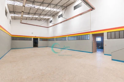 Armazém para Venda em Seroa