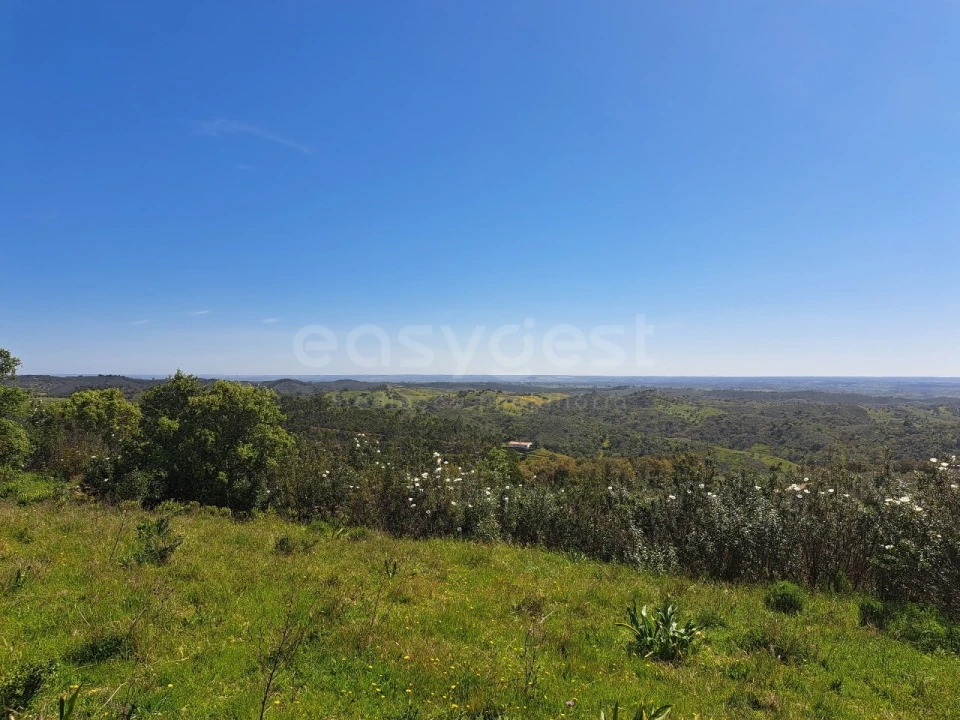 Quinta para Venda em São Martinho das Amoreiras Foto 2
